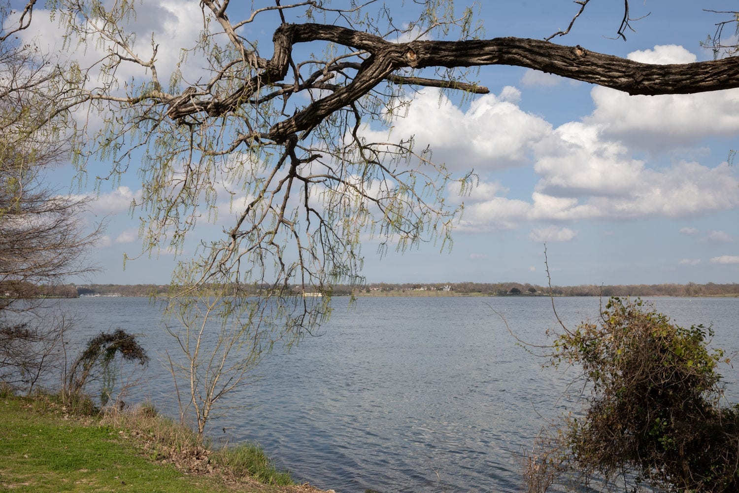 B. Proud Say Their Names White Rock Lake, Dallas