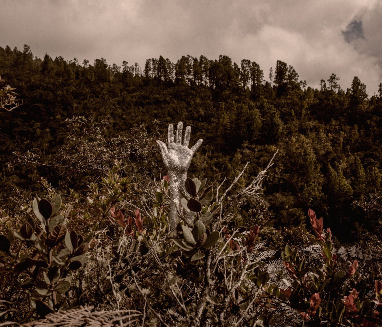 3 Carlos Saavedra Paramo